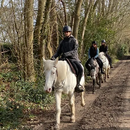Роскошный шатер Tipi Nuit Insolite En Pleine Nature