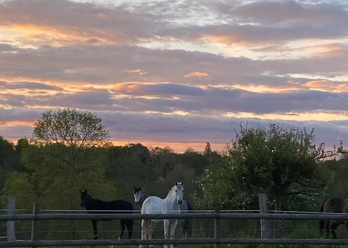 Luxury tent Tipi Nuit Insolite En Pleine Nature Glanville